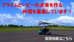 採用情報